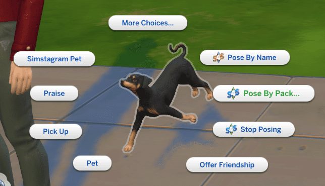 Poses The Sims 4