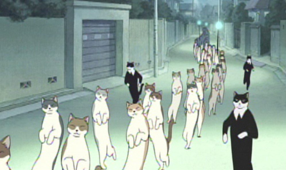 Anime de gatos: 10 títulos perfeitos para os amantes de gatos! - Geek Ninja